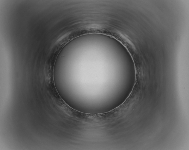 X0000112931015200908311313