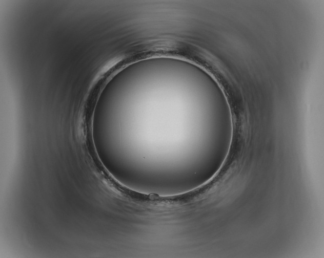 X0000112931018200908311313