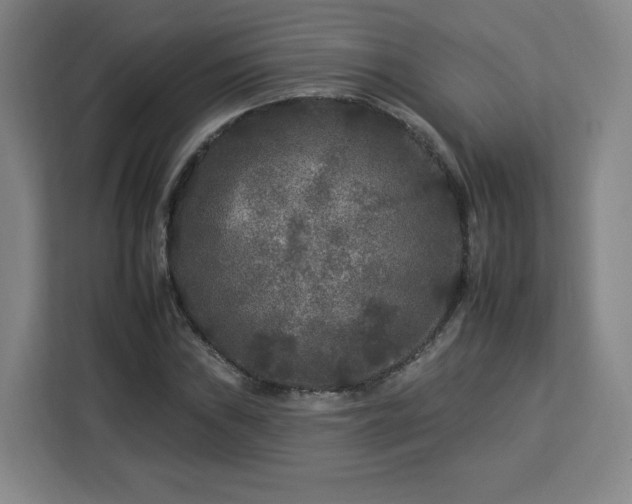 X0000112931019200908311313