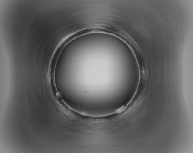 X0000112931020200908311313