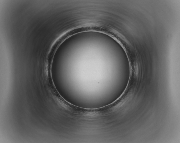 X0000112931021200908311313