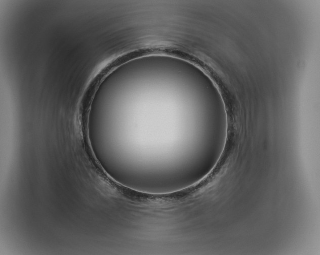 X0000112931022200908311313