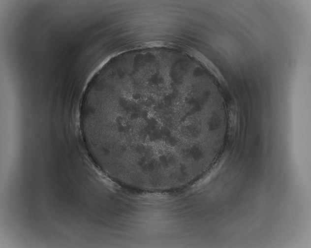 X0000112931023200908311313