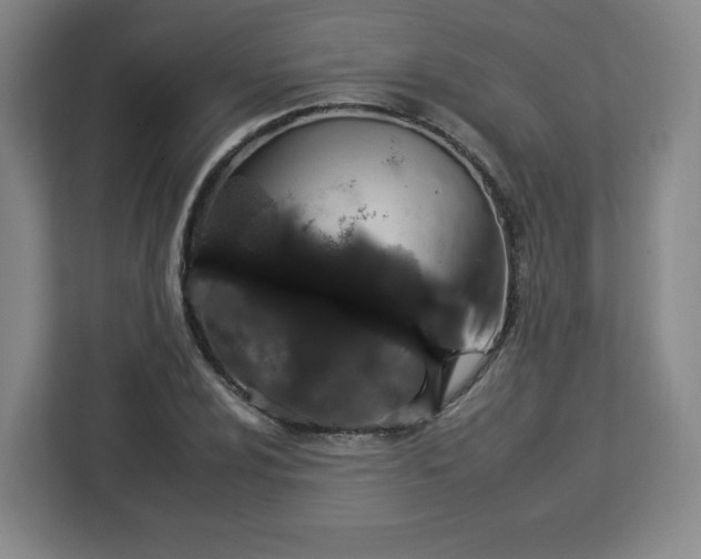 X0000112931024200908311313