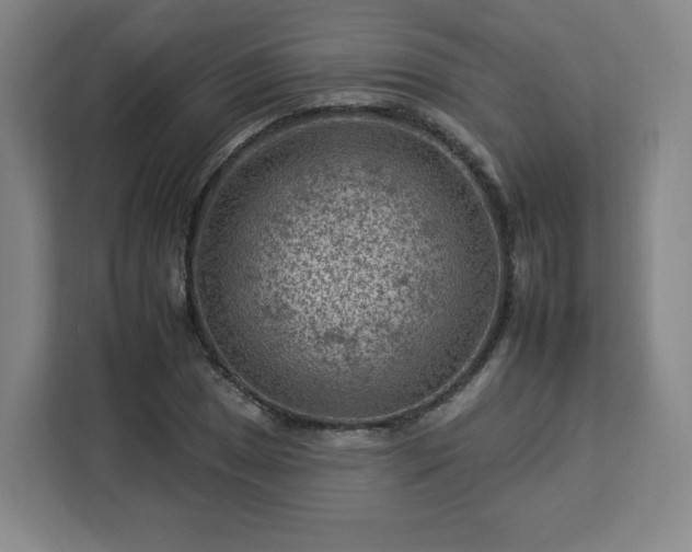 X0000112931025200908311313