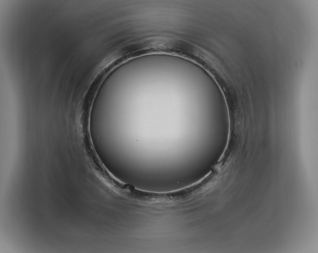 X0000112931026200908311313