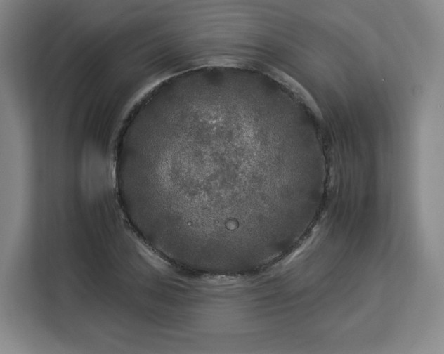 X0000112931027200908311313