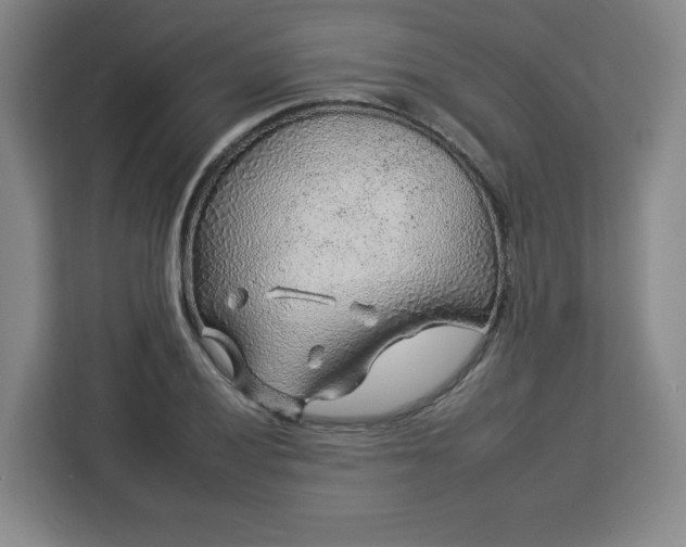 X0000112931028200908311313