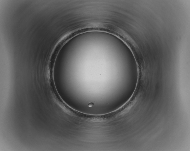 X0000112931029200908311313