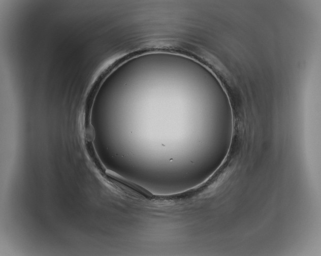 X0000112931030200908311313