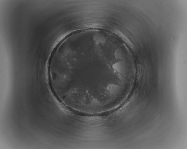 X0000112931031200908311313