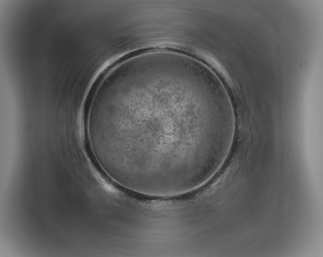 X0000112931032200908311313