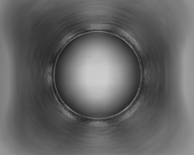 X0000112931033200908311313