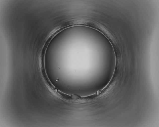 X0000112931034200908311313