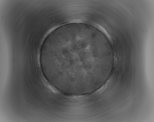 X0000112931035200908311313