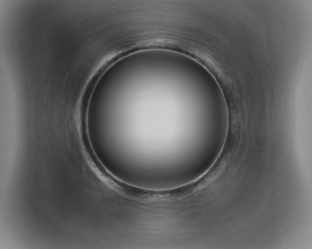 X0000112931038200908311313