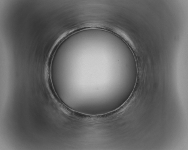 X0000112931040200908311313