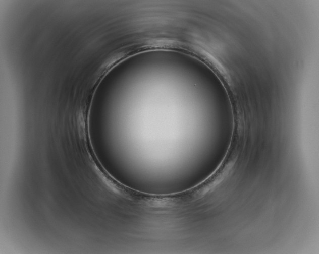 X0000112931041200908311313