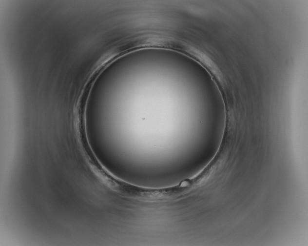 X0000112931042200908311313