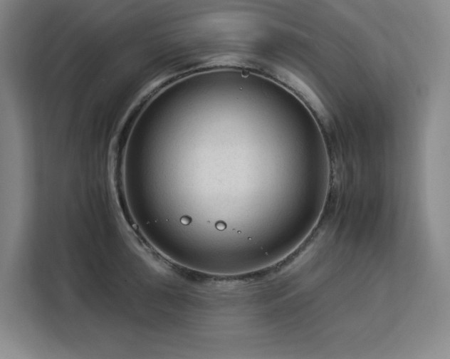 X0000112931043200908311313