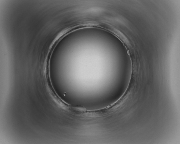 X0000112931044200908311313