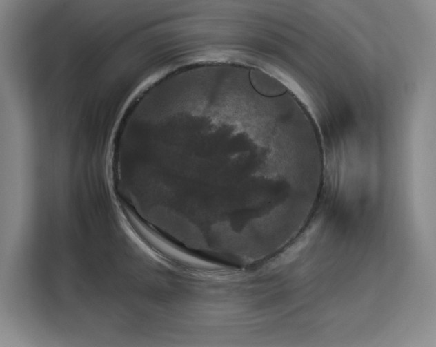 X0000112931045200908311313