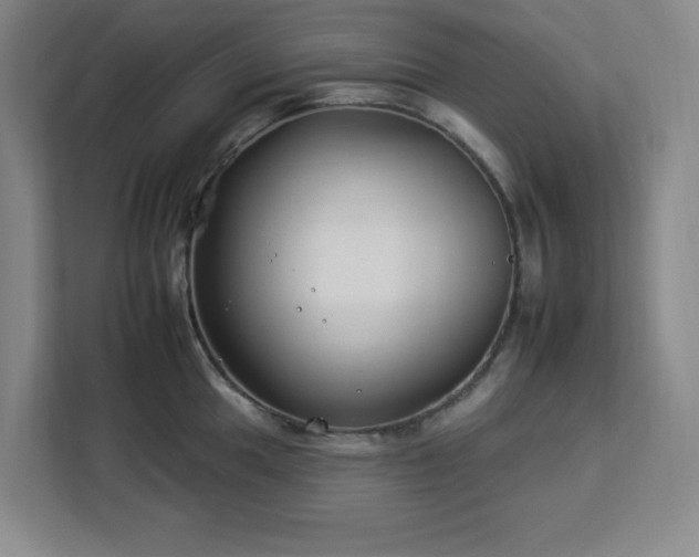 X0000112931049200908311313