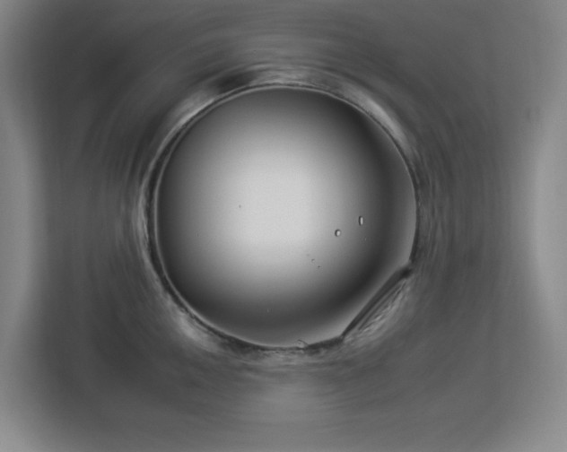 X0000112931050200908311313