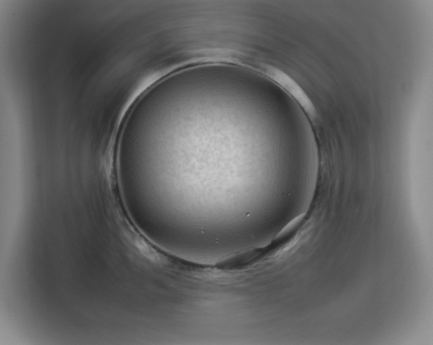 X0000112931052200908311313