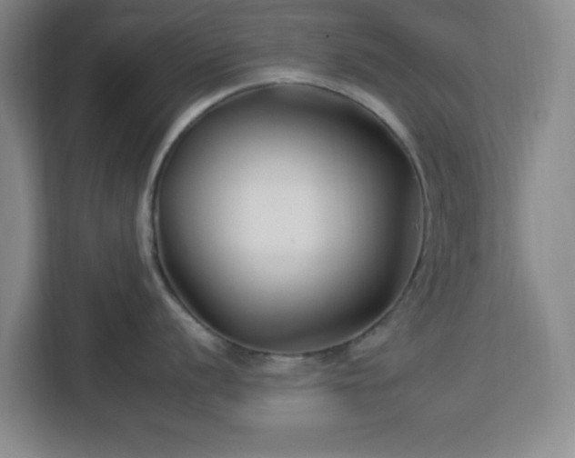 X0000112931056200908311314