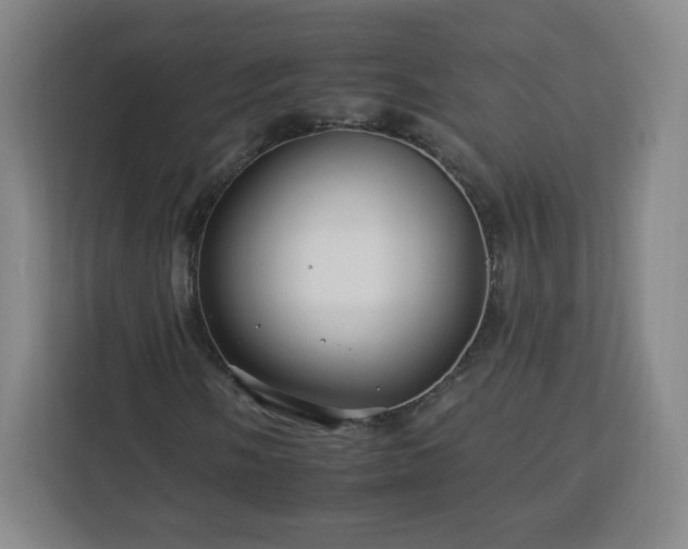 X0000112931058200908311313