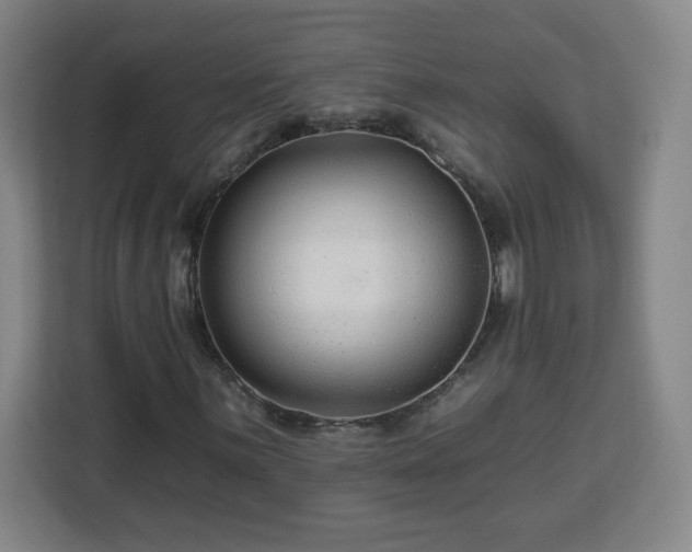 X0000112931059200908311313