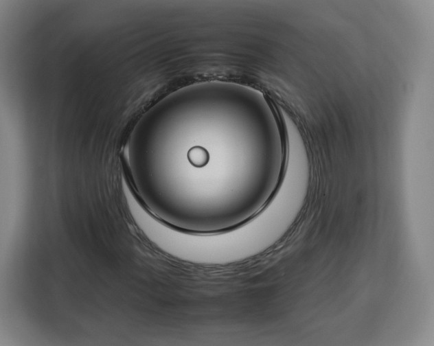 X0000112931060200908311313