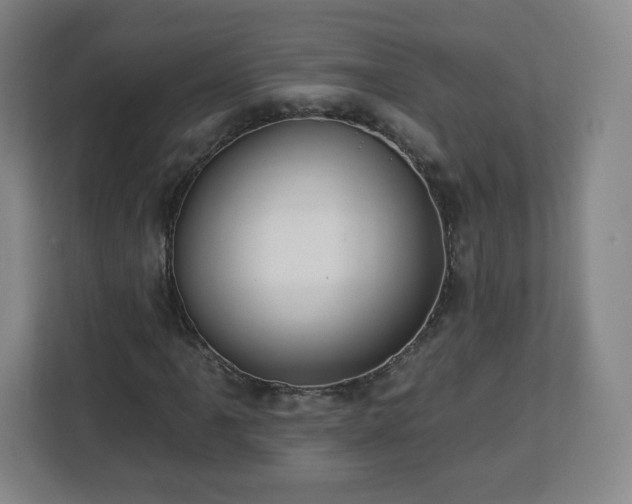 X0000112931061200908311313