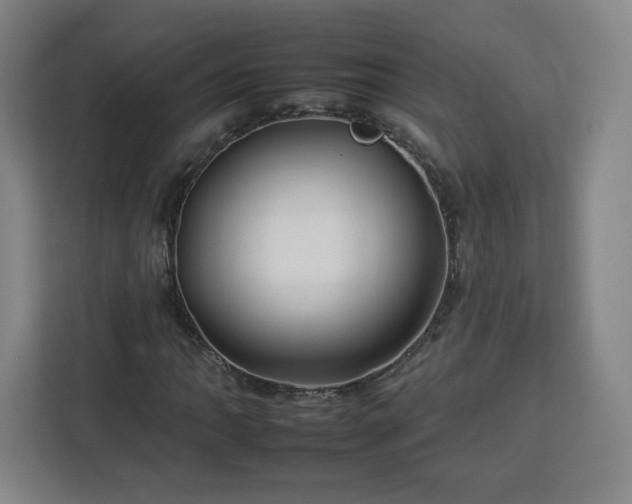 X0000112931062200908311313