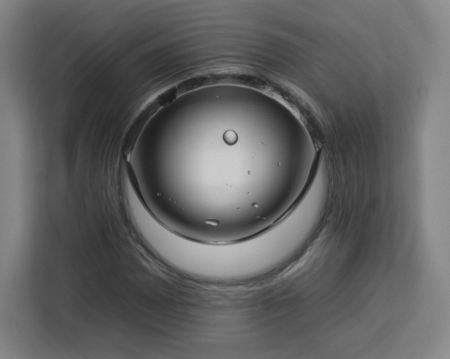 X0000112931065200908311313