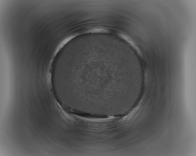 X0000112931066200908311313