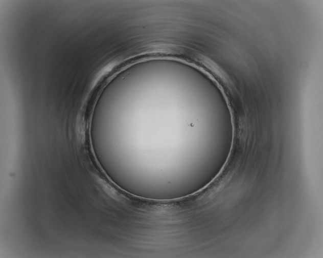 X0000112931067200908311313