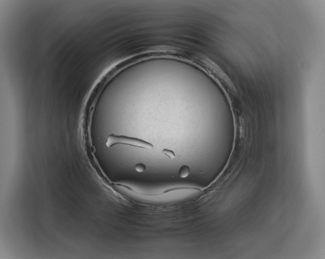 X0000112931068200908311313