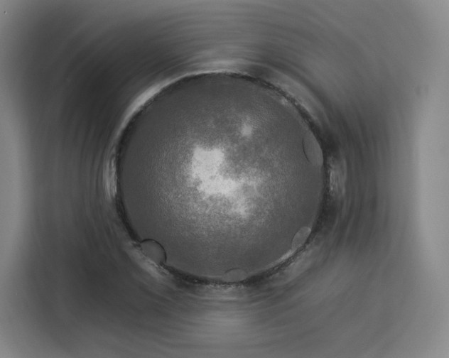 X0000112931069200908311313