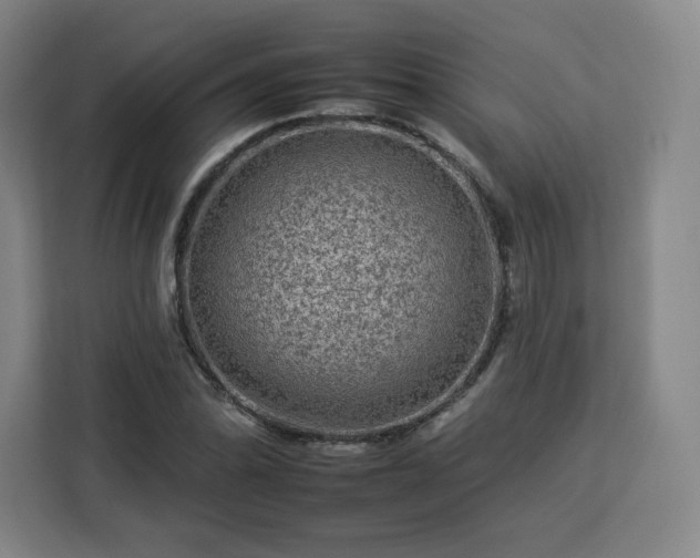 X0000112931070200908311313