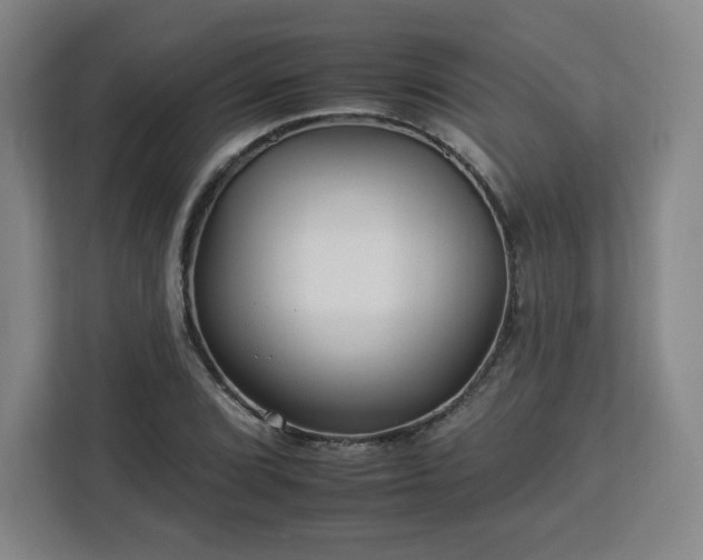 X0000112931072200908311313