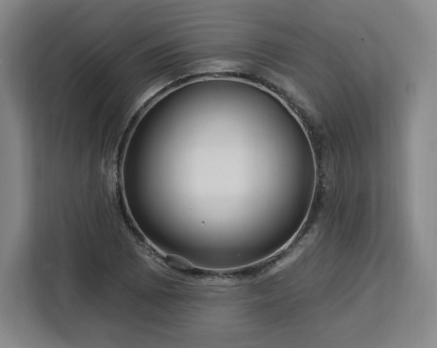 X0000112931073200908311313