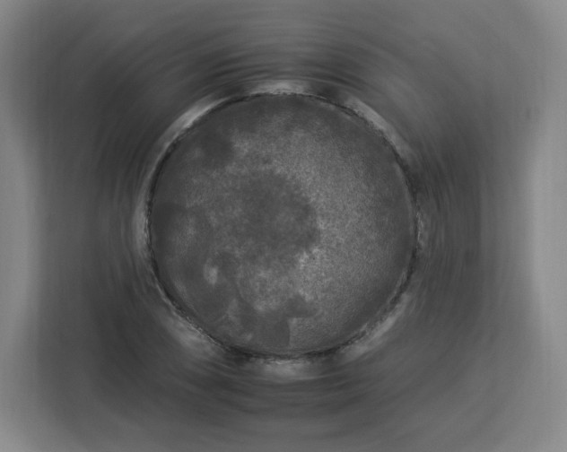 X0000112931074200908311312