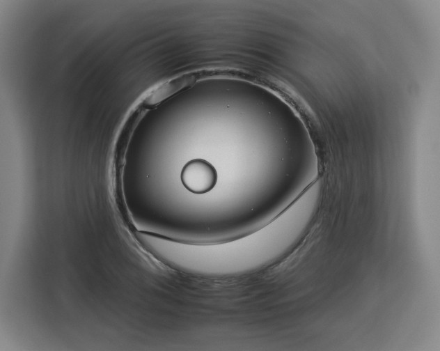 X0000112931076200908311312