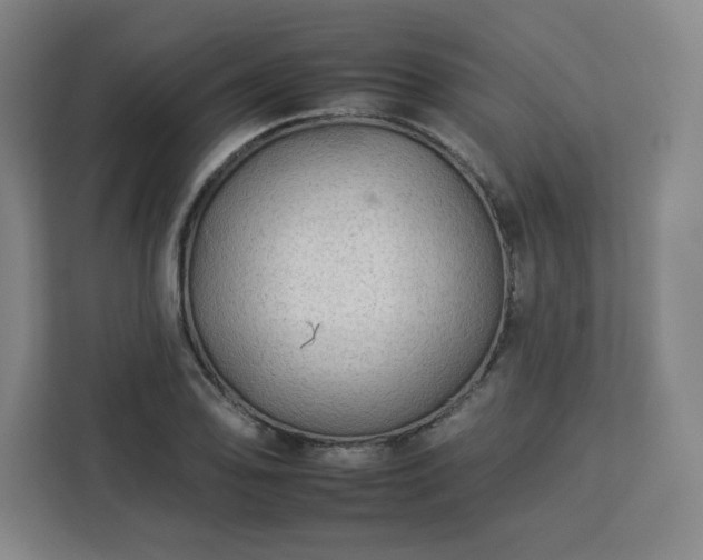 X0000112931078200908311312