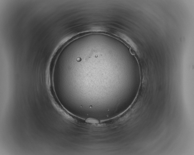 X0000112931080200908311312