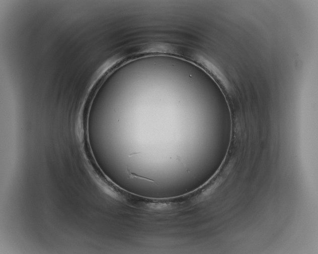 X0000112931082200908311312