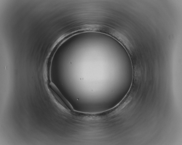 X0000112931083200908311312