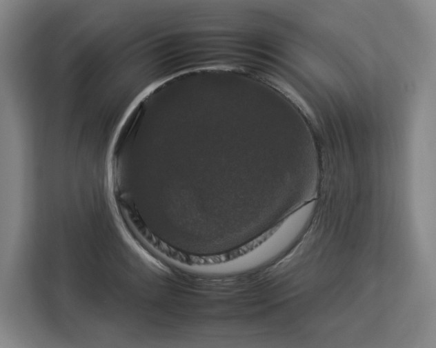 X0000112931084200908311312